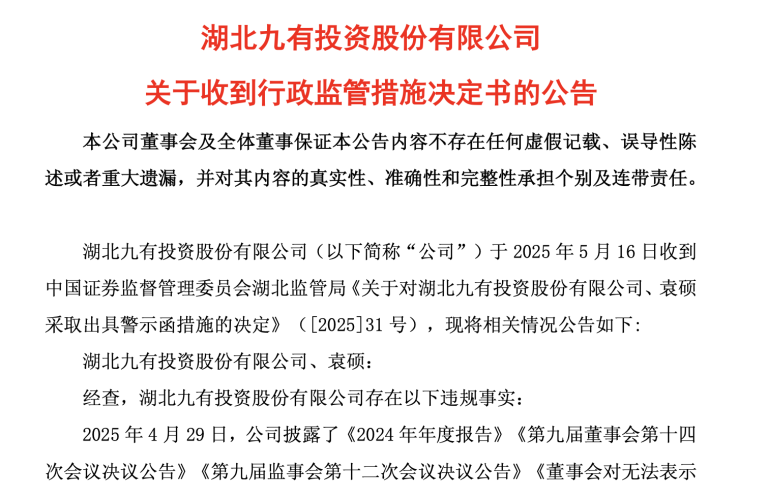罕见公告“八连错” 董事长名字都写错了！“95后”入主*ST九有后 首份财报现多处低级错误