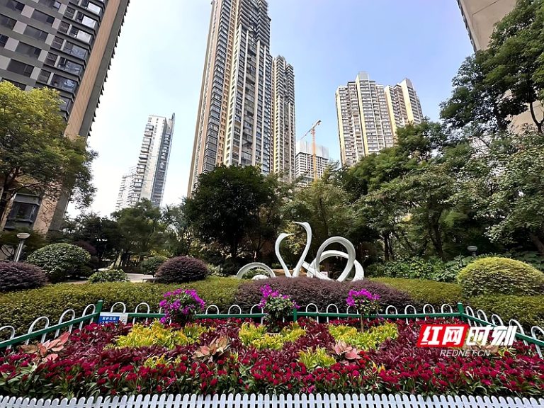 视频丨无人机空中巡查！长沙：为小区智慧化管理插上“科技翅膀”