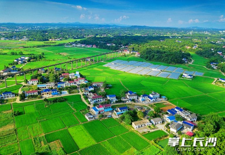 长沙积极打造沩山、大围山等17个特色生态乡村群