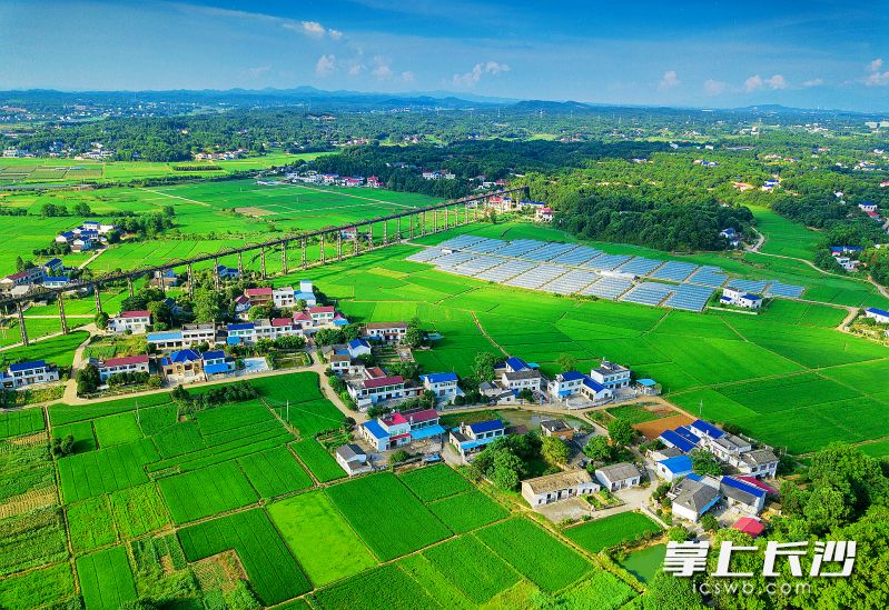 长沙积极打造沩山、大围山等17个特色生态乡村群
