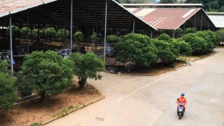 “厂二代”观察：中国工厂接班潮