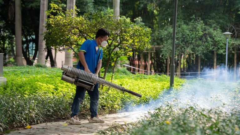 首例基孔肯雅热报告社区：千人投入“防蚊战”