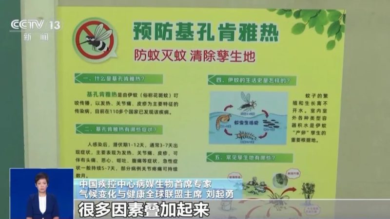 广东七天新增2940例 基孔肯雅热啥来头？紧急提醒：感染后不要用这种常见药！
