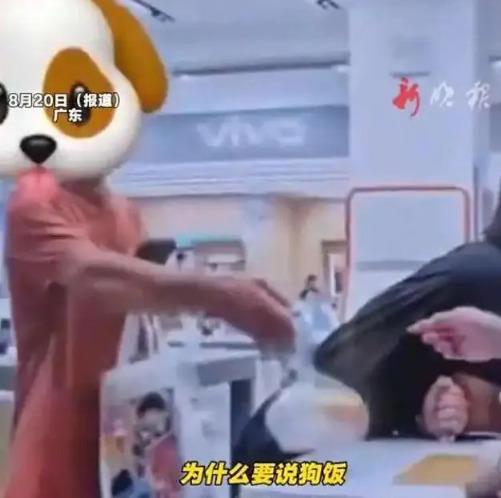 女子称点“拼好饭”被当面说“狗饭” 骑手：“我们叫惯了”“有病就别吃”