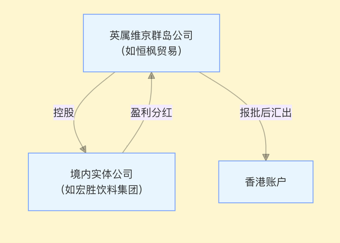 宗庆后家族“信托案”中的18亿美元从何而来？
